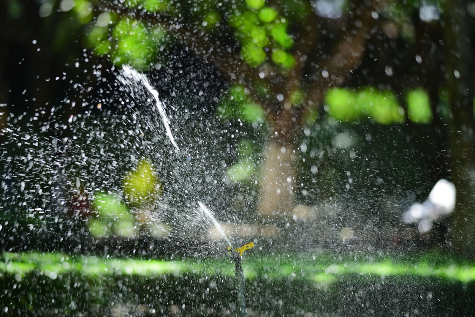 Photo from Irrigate